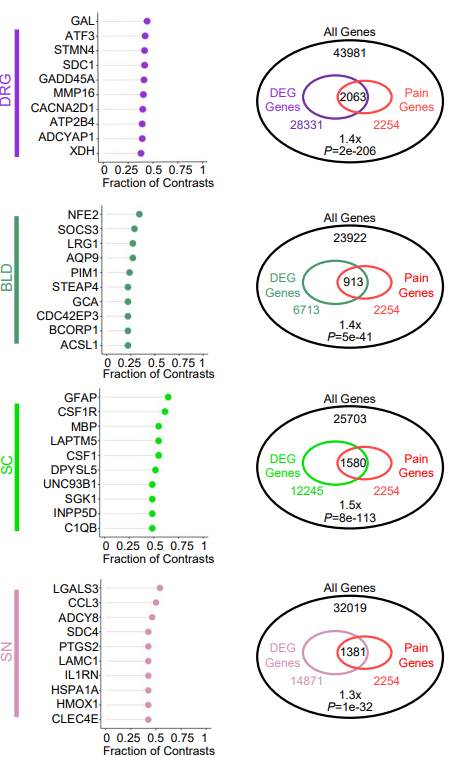 Top Differentially expressed genes in database